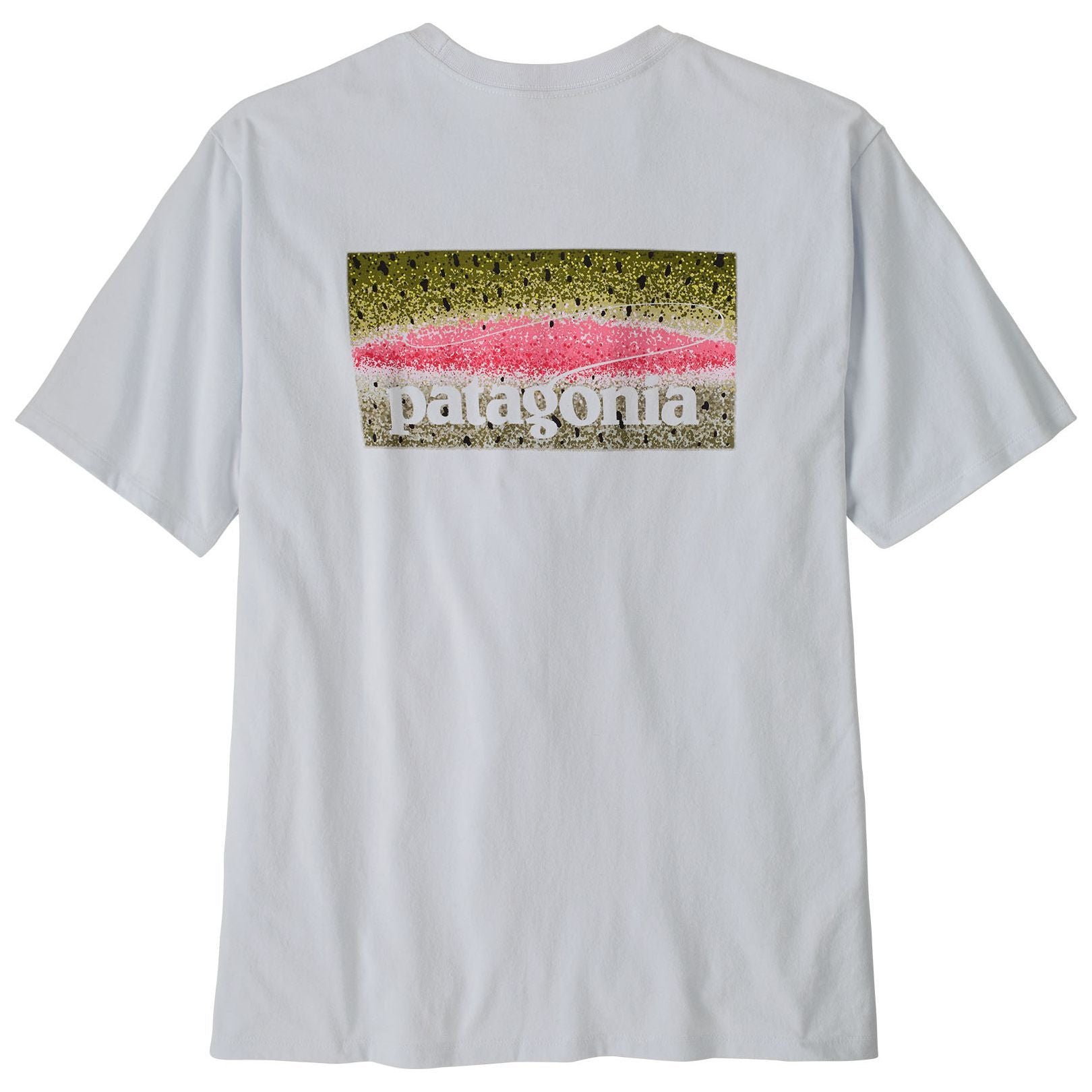 Patagonia Men's Take a Stand Responsibili-Tee Rainbow Run: White Image 01